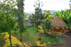 KijijiShamba Kartel
